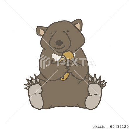 小熊 座る 熊のイラスト素材