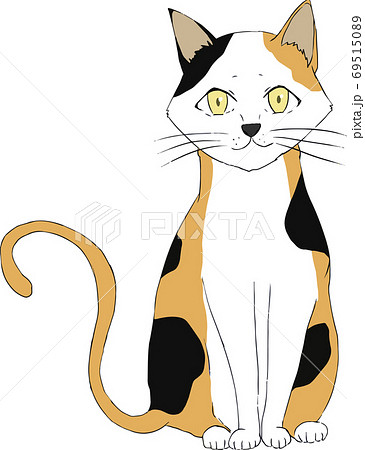 野良猫のイラスト素材