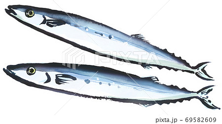 サンマ墨絵 秋刀魚 さんまのイラスト素材 - PIXTA