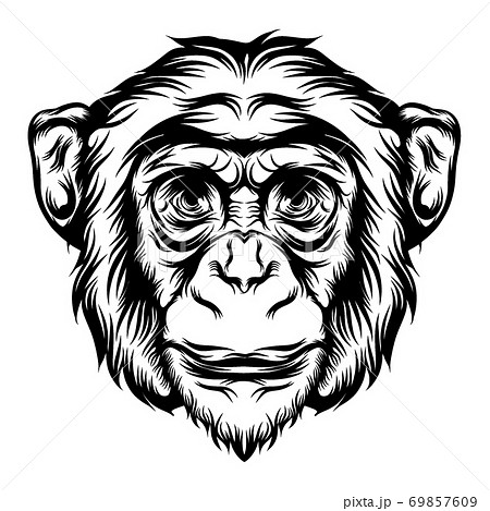 猿の顔のイラスト素材