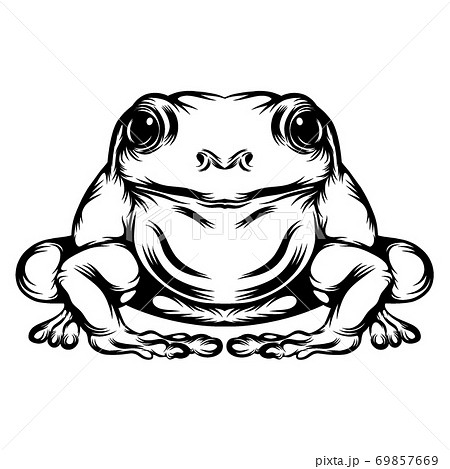 カエル 蛙 白黒 黒白のイラスト素材