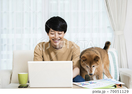 柴犬 犬 パソコン ノートパソコンの写真素材