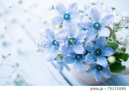 ブルースター 花 花束 フラワーアレンジメントの写真素材