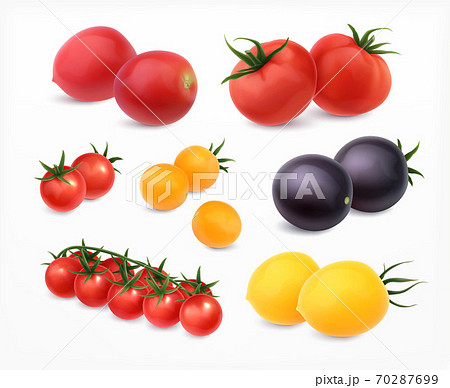 丸い物のイラスト素材