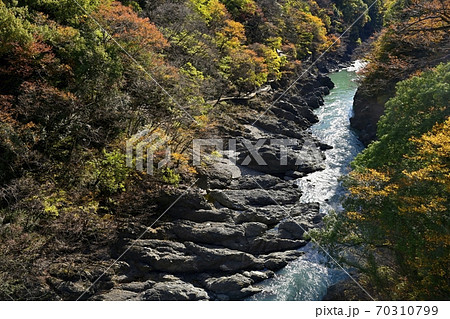 高津戸峡 紅葉 群馬 みどり市の写真素材