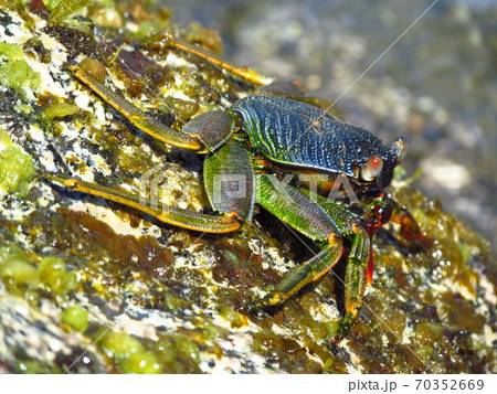 Lgj1rhlz Unqlm Lgj1rhlz Unqlm