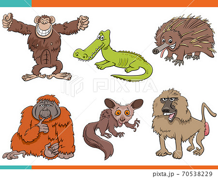 クロコダイル 絵のイラスト素材