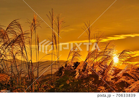 片割れ時の写真素材