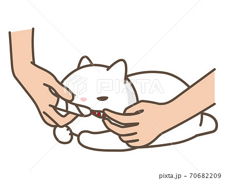 猫の手のイラスト素材