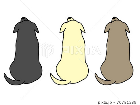 ラブラドールレトリバー 盲導犬 介助犬 犬のイラスト素材