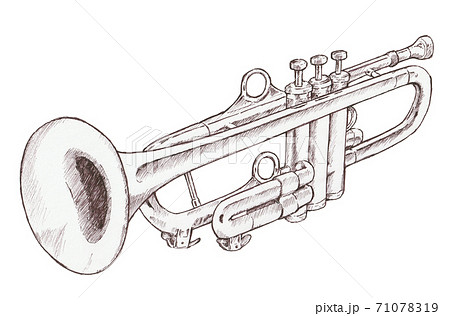 管楽器 トランペットの写真素材