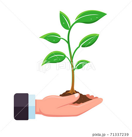 植物 水 土 水滴のイラスト素材