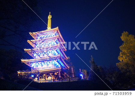 高幡不動 東京都 日野市 ライトアップの写真素材