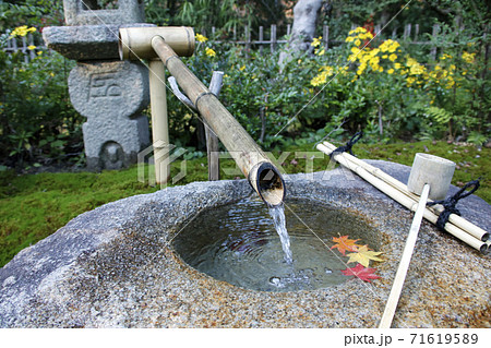 石臼 日本庭園 ししおどしの写真素材