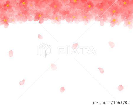 桜 背景 和風 背景画像のイラスト素材