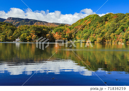 松原湖 湖 紅葉 秋の写真素材