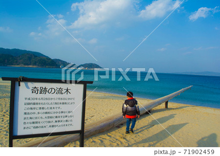 奇跡の流木の写真素材 奇跡の流木の写真素材