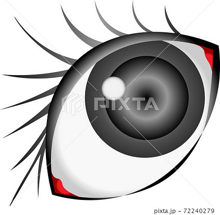 眼球 目 目玉 リアルのイラスト素材