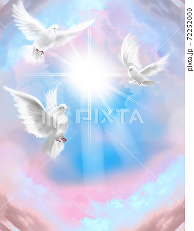 白い鳩のイラスト素材