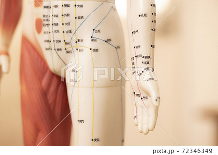 経絡図の写真素材 - PIXTA