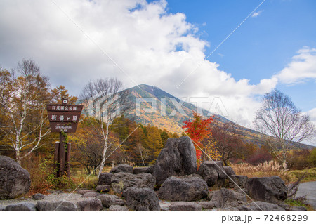 三本松 日光の写真素材