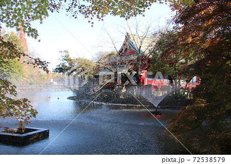 神田川水源の写真素材