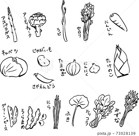 食べ物 にんじん 白黒のイラスト素材