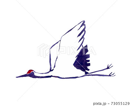 鳥 鶴 タンチョウ 水彩画のイラスト素材 - PIXTA