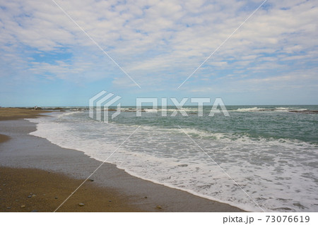 エトピリカの写真素材