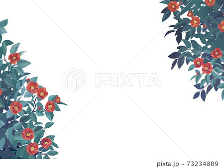 冬の花のイラスト素材集 ピクスタ