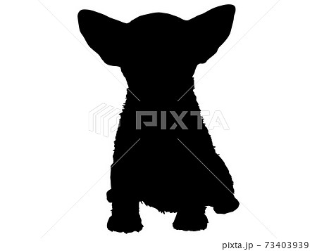 動物 哺乳類 シルエット かわいいのイラスト素材