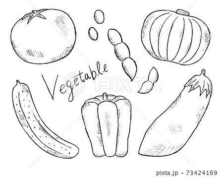 なす 白バック 白黒 野菜のイラスト素材
