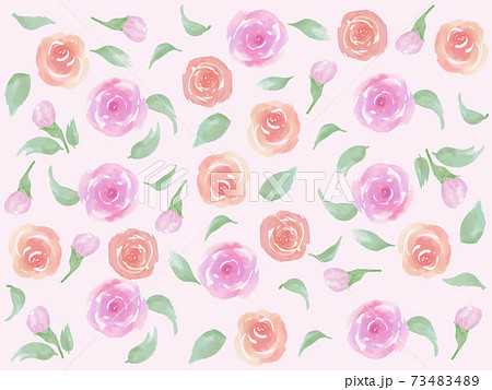 バラ園のイラスト素材