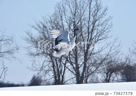 北海道の写真素材集 ピクスタ