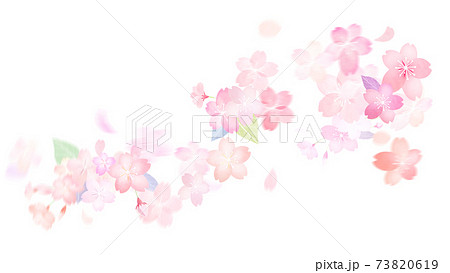 桜の枝のイラスト素材
