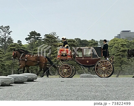 二頭立て馬車 馬の写真素材