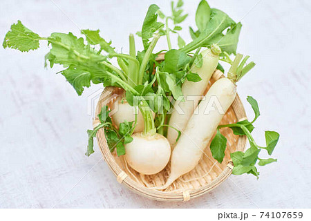 春の七草の写真素材