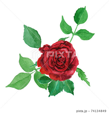 赤い花のイラスト素材