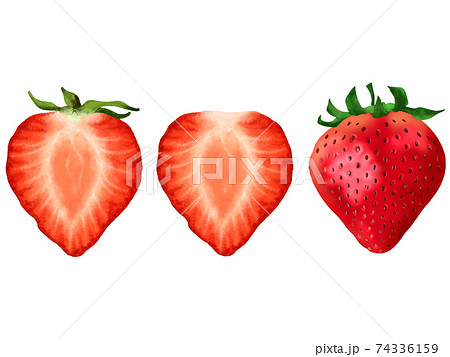 苺 いちご イチゴ 手書きのイラスト素材