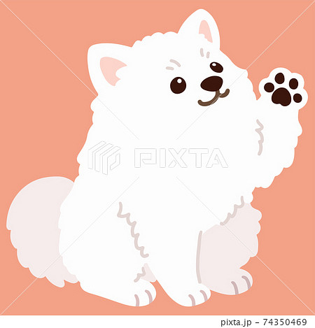 犬の手のイラスト素材