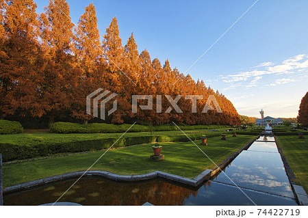 並木 紅葉 秋 フランスの写真素材 - PIXTA