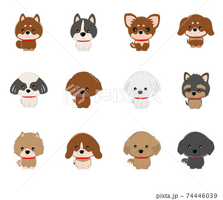 ヨークシャテリアのイラスト素材