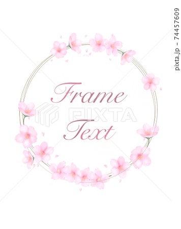 八重桜のイラスト素材