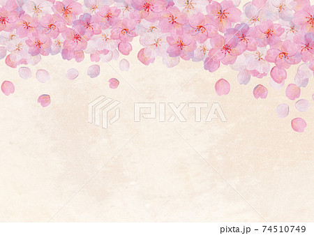 山桜のイラスト素材 山桜のイラスト素材