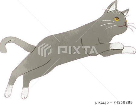 猫 飛ぶ ジャンプ イラストのイラスト素材
