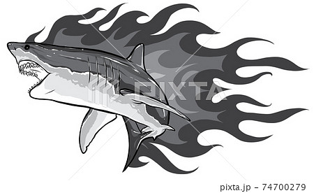サメ 鮫 魚 怖いのイラスト素材