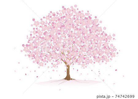 桜 花 春 木のイラスト素材