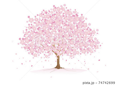 桜 春 花 木のイラスト素材