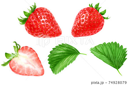 いちごｐｏｐのイラスト素材