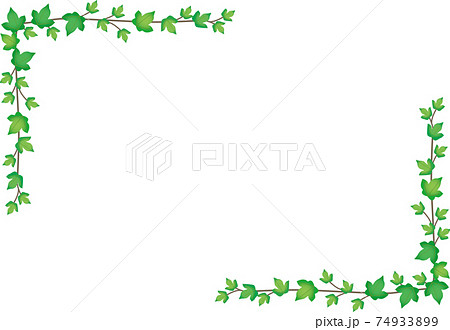 つる つた 蔓 蔦 のイラスト素材集 ピクスタ
